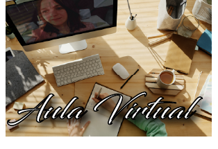 Aula Virtual5