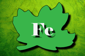 Fe
